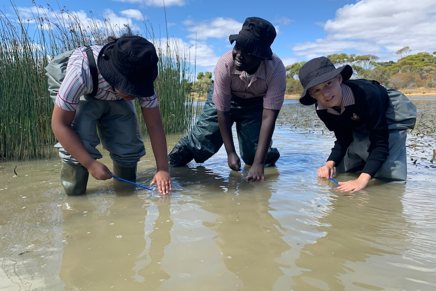 Photo of three children standing in water.