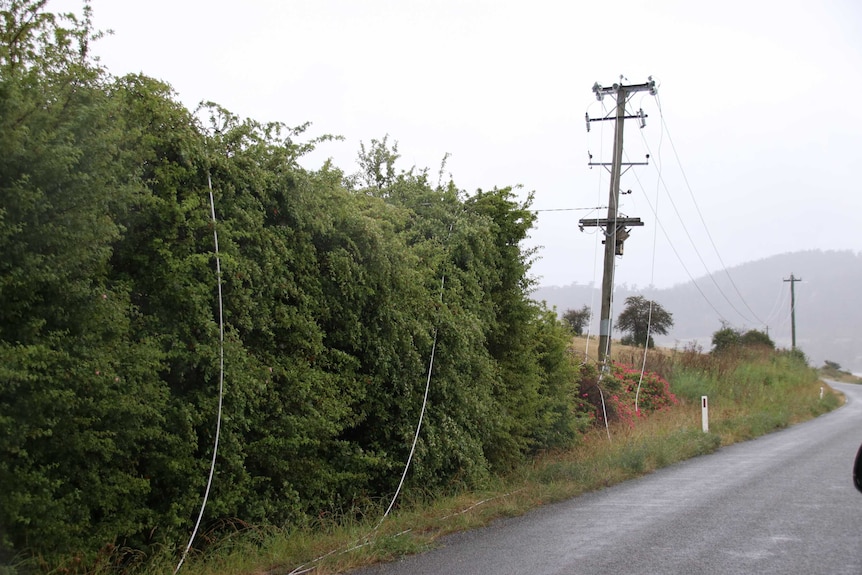 Fallen power lines lay on the side of the road after heavy storms in Tasmania.