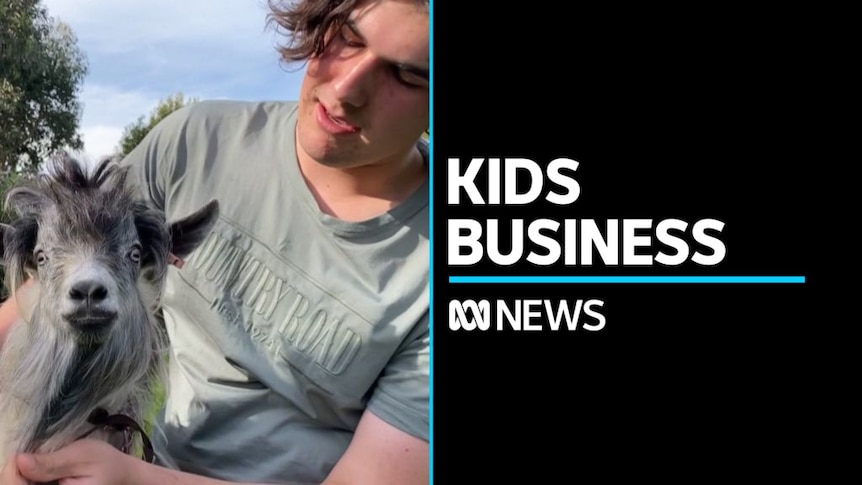 School kid's thriving business breeding miniature goats - ABC News
