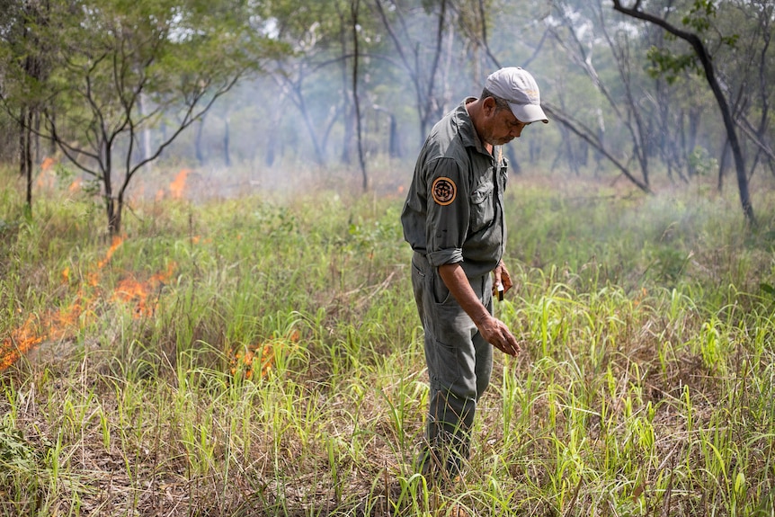 A male ranger tosses a match into knee-high grass as a gentle fire burns through the grass behind.