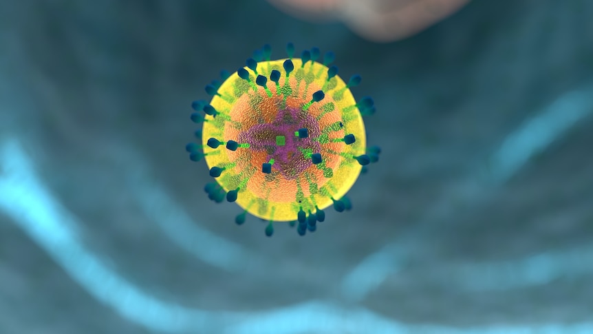 Visualisation of coronavirus particle showing spike proteins on the surface of the cell.