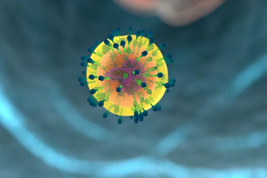 Visualisation of coronavirus particle showing spike proteins on the surface of the cell.