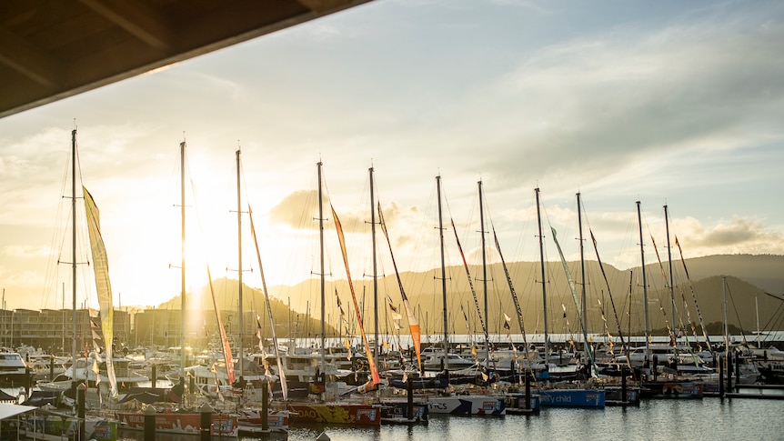 Line of yachts in airlie beach marina at sunset. 