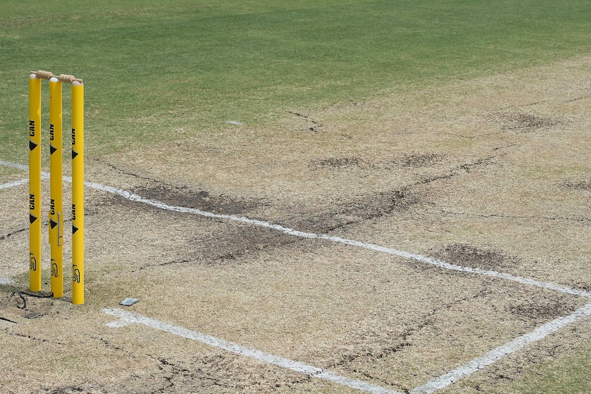 A shot of large cracks across a cricket pitch