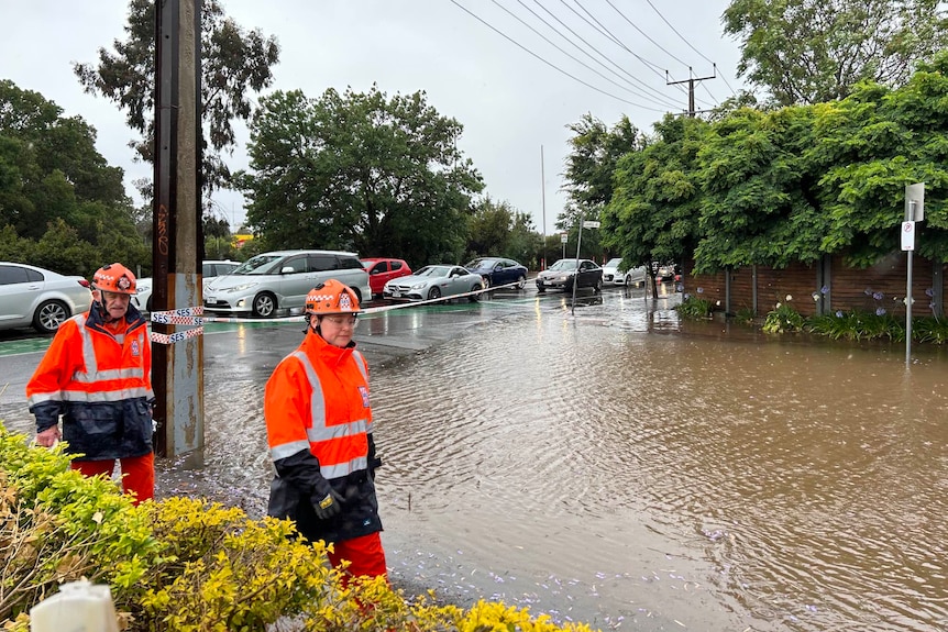 SES helping in flooding at Wayville