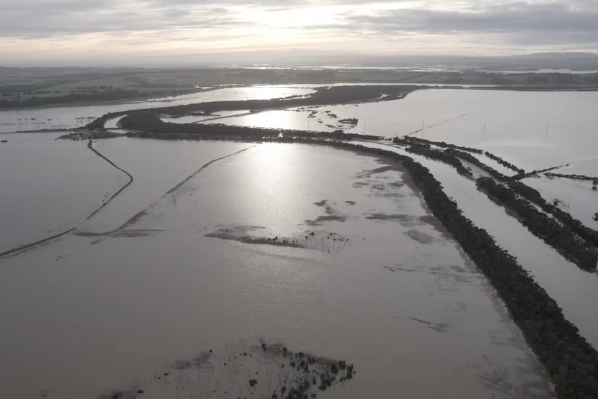 Drone shot of flooded water across Tarwin lower, you can only see rows of trees and fences out of the water 