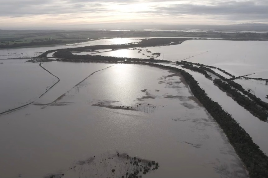 Tir de drone d'eau inondée à travers Tarwin plus bas, vous ne pouvez voir que des rangées d'arbres et des clôtures hors de l'eau 