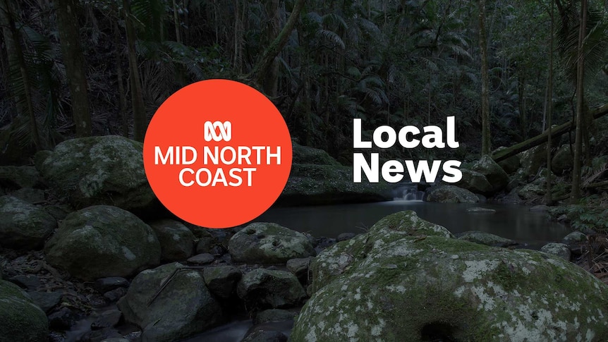A rainforest stream with lush trees around it; ABC Mid North logo and Local News superimposed over the top.