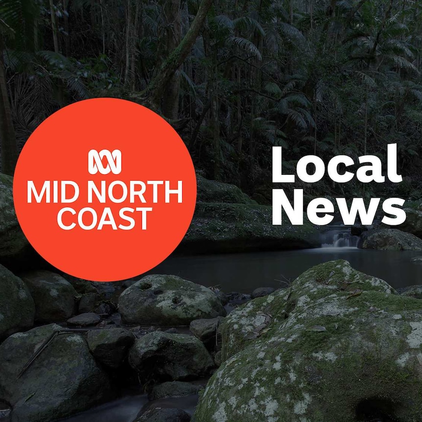 A rainforest stream with lush trees around it; ABC Mid North logo and Local News superimposed over the top.