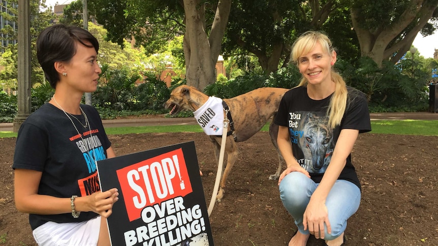 Caroline Hoetzer and rescued greyhound Millie attend a rally against racing in Sydney