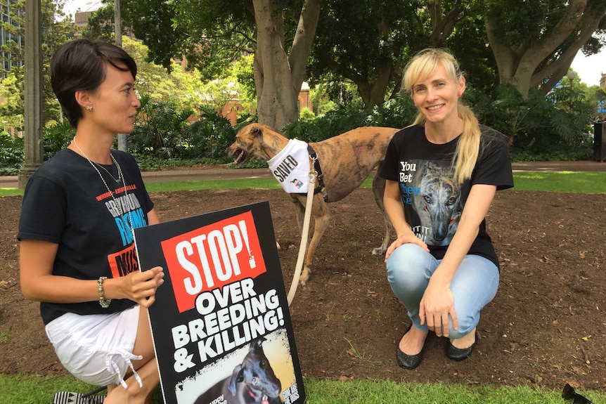 Caroline Hoetzer and rescued greyhound Millie attend a rally against racing in Sydney