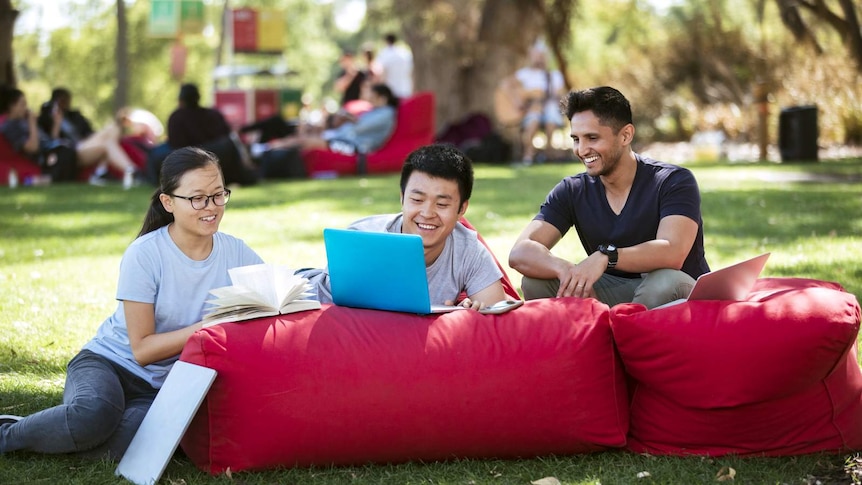 Three students, from different ethnic backgrounds, sit outside studying on bean bags, on a sunny day in Perth, WA.