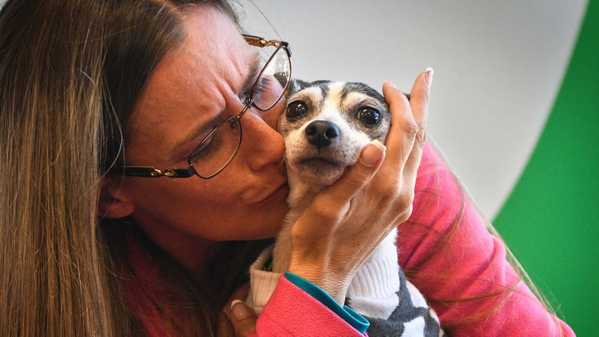 An emotional woman with glasses embraces a small black and white fox terrier.