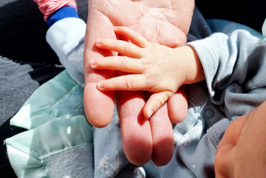 Gregory's adult hand holding a baby's hand.
