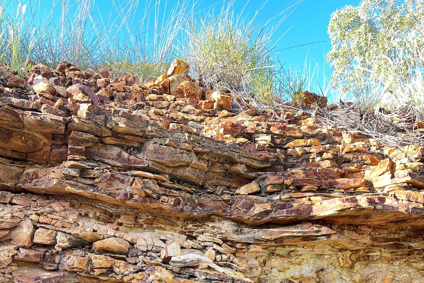 Un muro de roca
