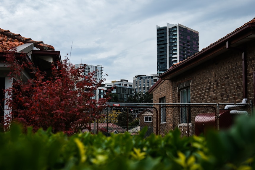 A garden with tall towers in the background