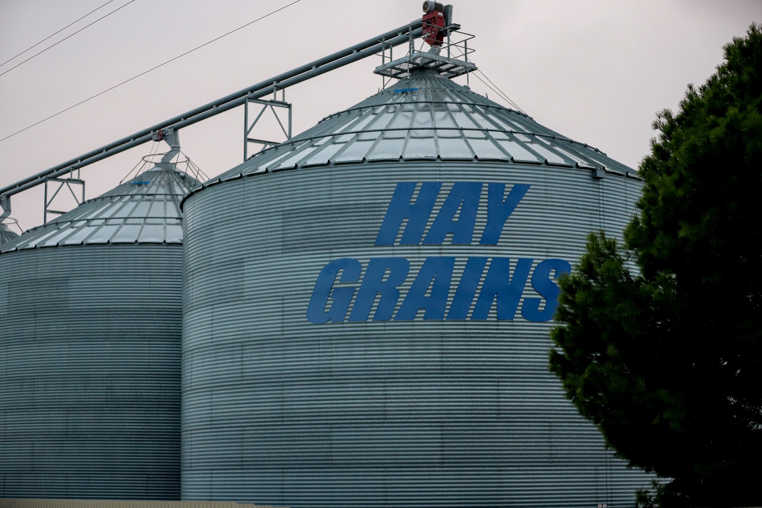 Large silver silos in a cylindrical shape with a pointed top. 'HAY GRAINS' written in large blue letters. Tree on right.