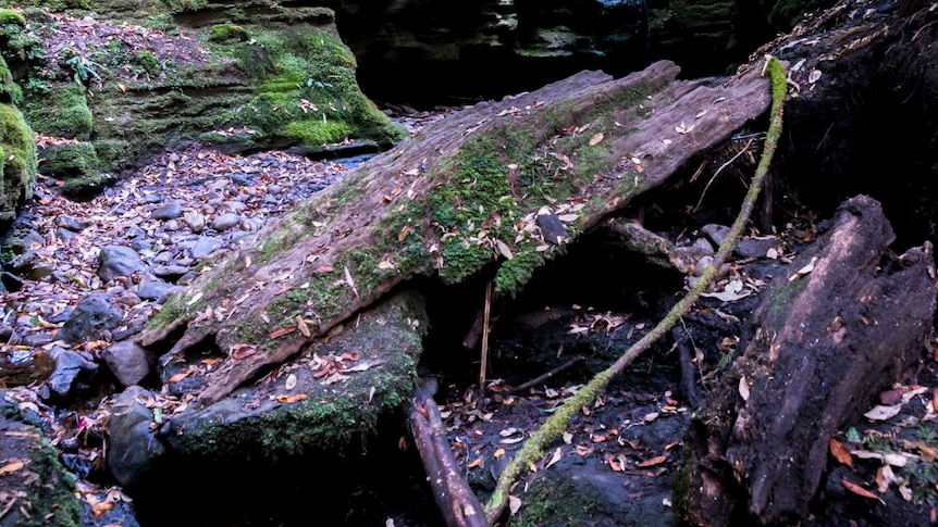 Secret Falls, Wellington Park