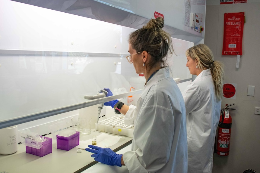 Two women in white lab coats in a lab preparing samples in test tubes