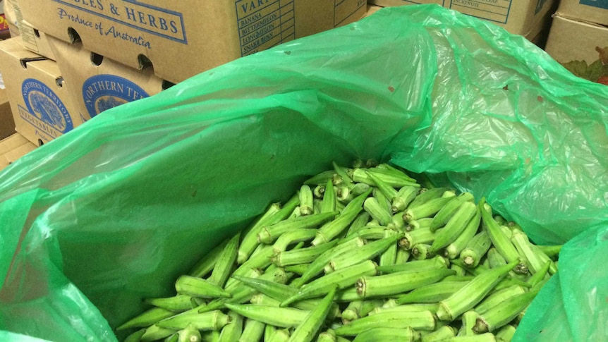 Okra from the Northern Territory