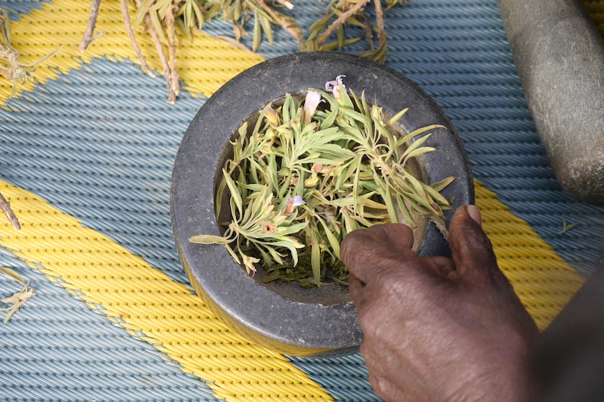 Arrethe leaves are broken down and put into a mortar and pestle.