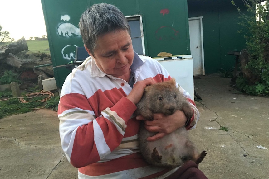 Wombat rescuer Kate Mooney holding a wombat.