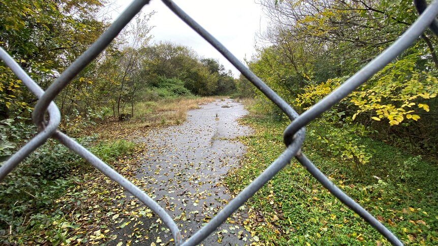 An asphalt path with leaves scattered on it and trees either side is pictured through a gap in a wire fence. 
