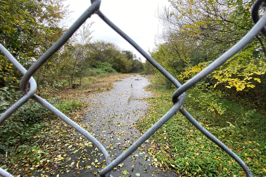 An asphalt path with leaves scattered on it and trees either side is pictured through a gap in a wire fence. 