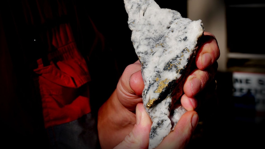A close up of men's hands holding a piece of white rock, the rock has glints of gold speck through it