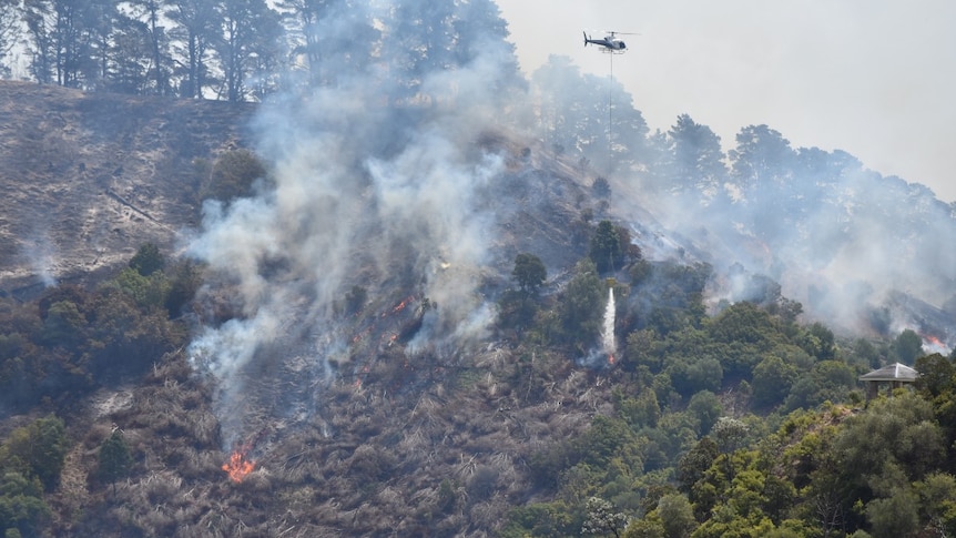 A waterbombing aircraft flies over a bushfire.