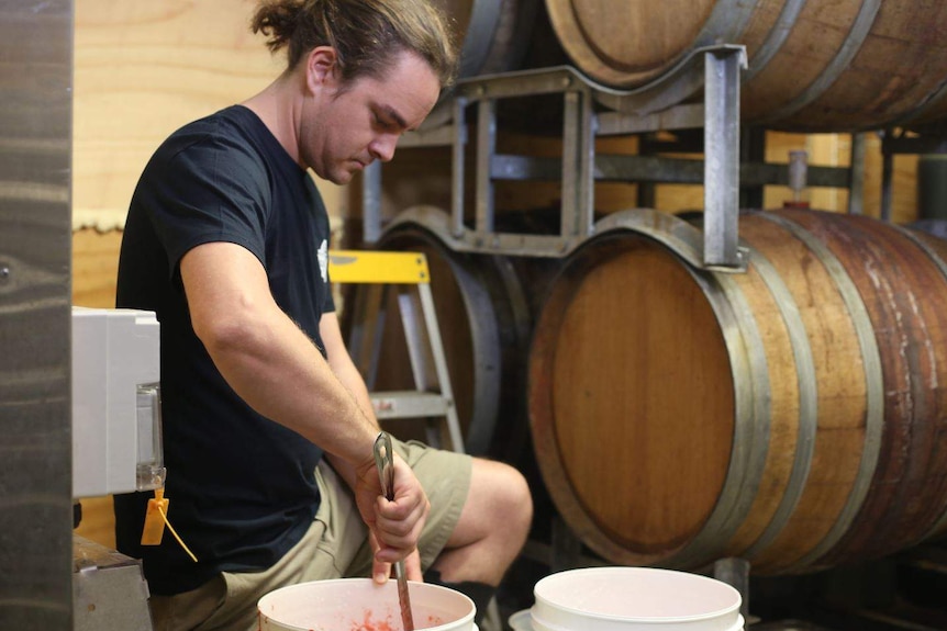 Jarrett Brewer mixing a big white bucket of strawberries.