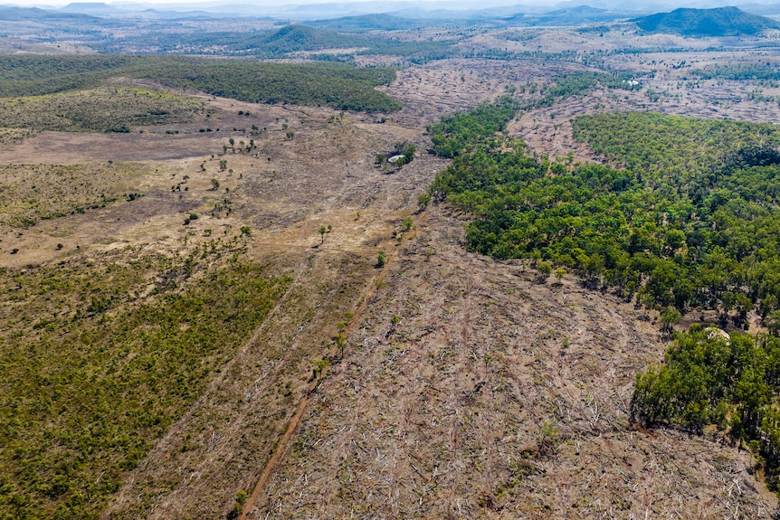 A birds eye view of land that has been cleared - there's bushland either side and a mountain range behind