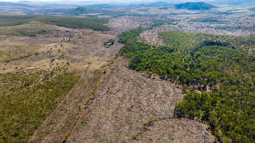 A birds eye view of land that has been cleared - there's bushland either side and a mountain range behind