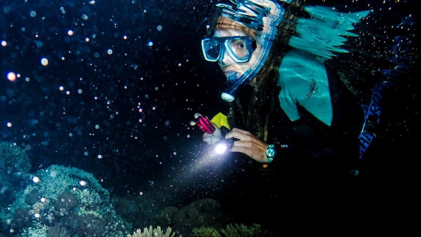 Caitlin snorkelling at night