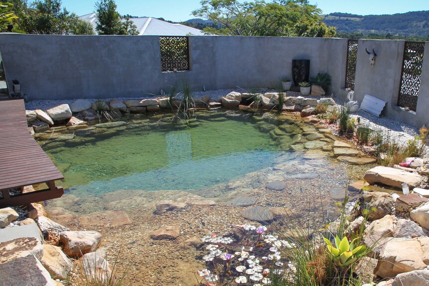 Mandy Nolan's natural pool looks like a water hole.