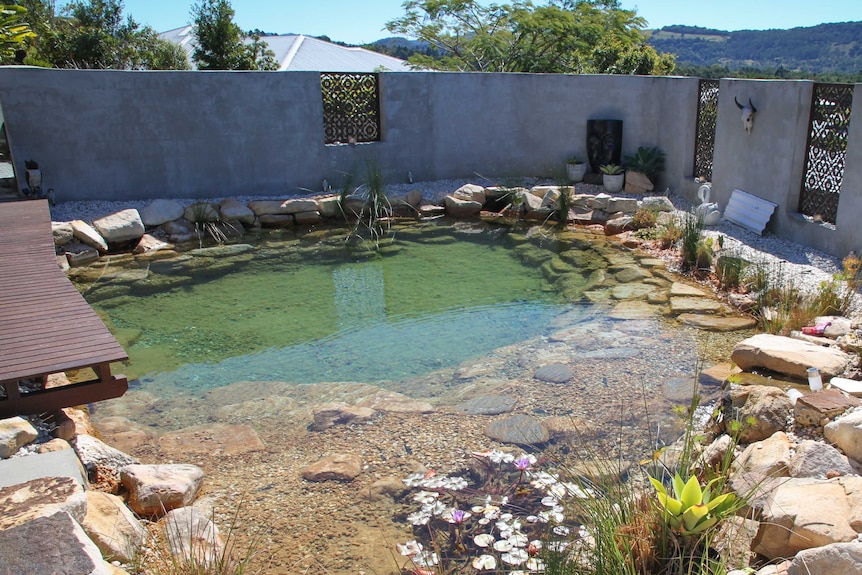 Mandy Nolan's natural pool looks like a water hole.