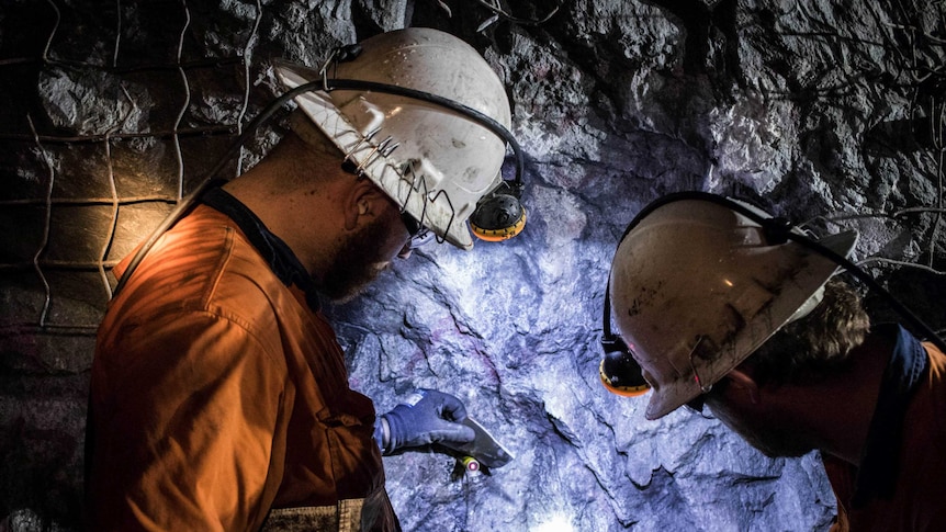 Lining up a section of wall for drilling in Rosebery Mine.