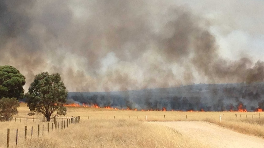 Eden Valley fire