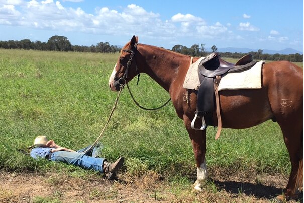 Ben Parker having a nap in the paddock with his hat on his head as his horse stands in front of him.