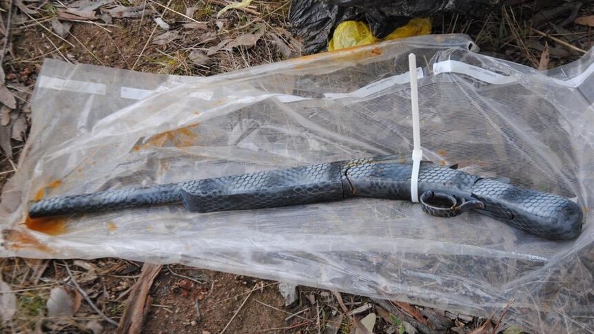 The gun was wrapped in plastic bags and partly buried in a shallow trench.