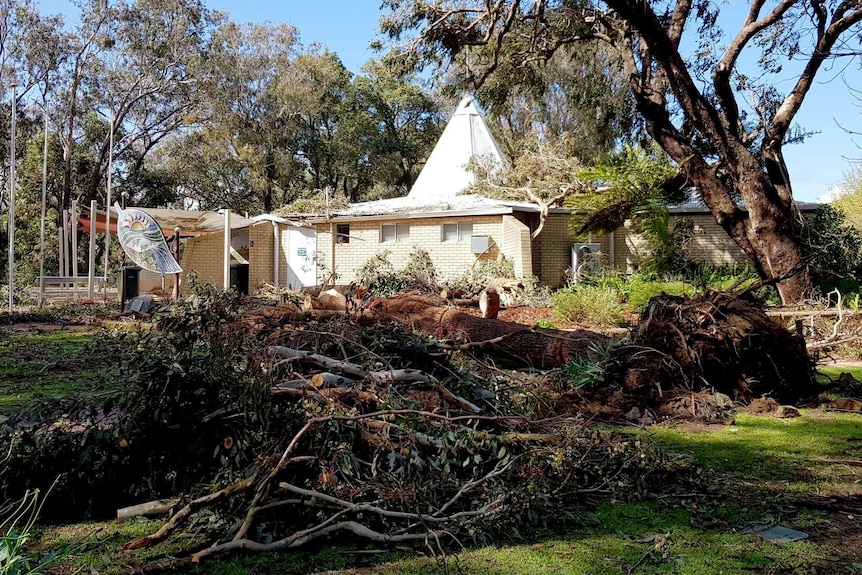 Tree branches lie in a field on a rural property.