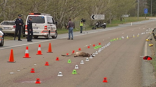 Police examine the scene of the fatal accident on the Barton Highway.