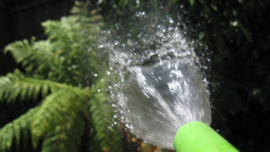 Spray from a hose watering a garden.