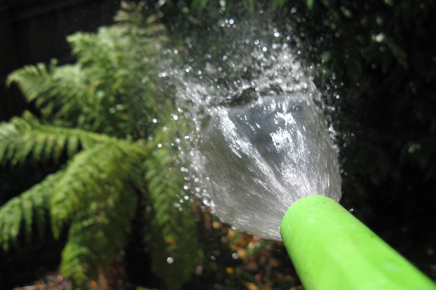 Generic water photo showing spray from a hose watering a garden.