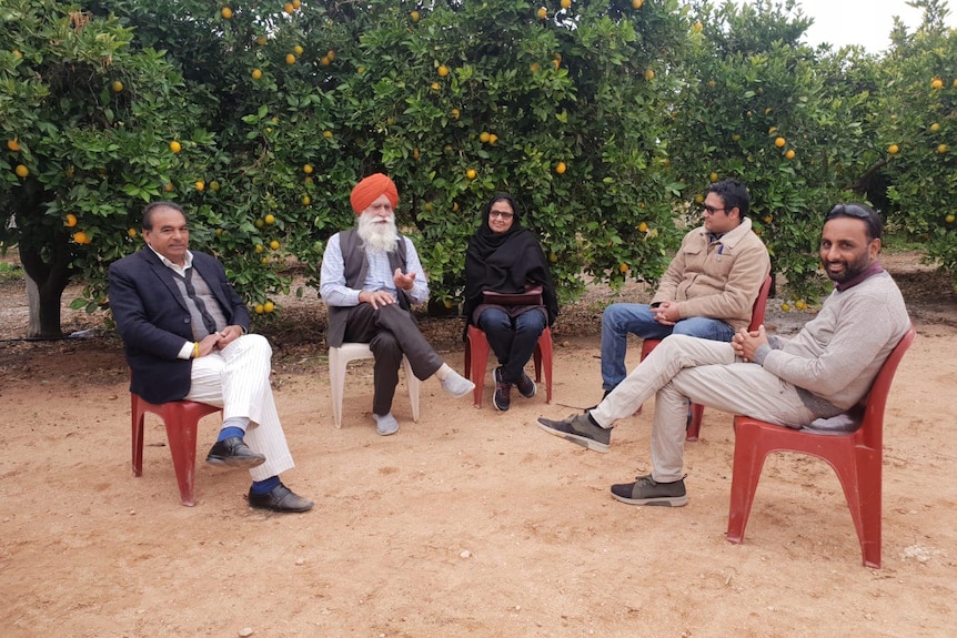 Mintu sits in a red plastic chair alongside four other people on separate chairs, in front of citrus trees at his farm.