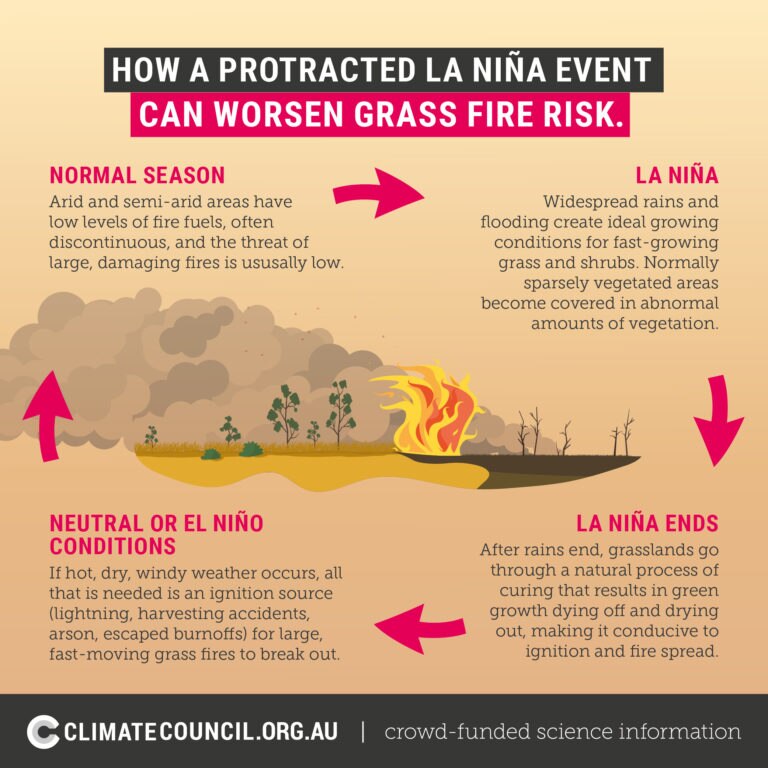 Climate Council grass fire impact graphic