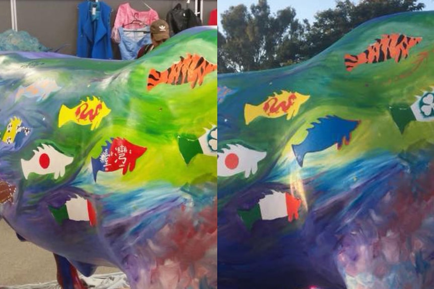 Before and after cow sculpture photos showing design altered with Taiwan flag painted over with blue fish.