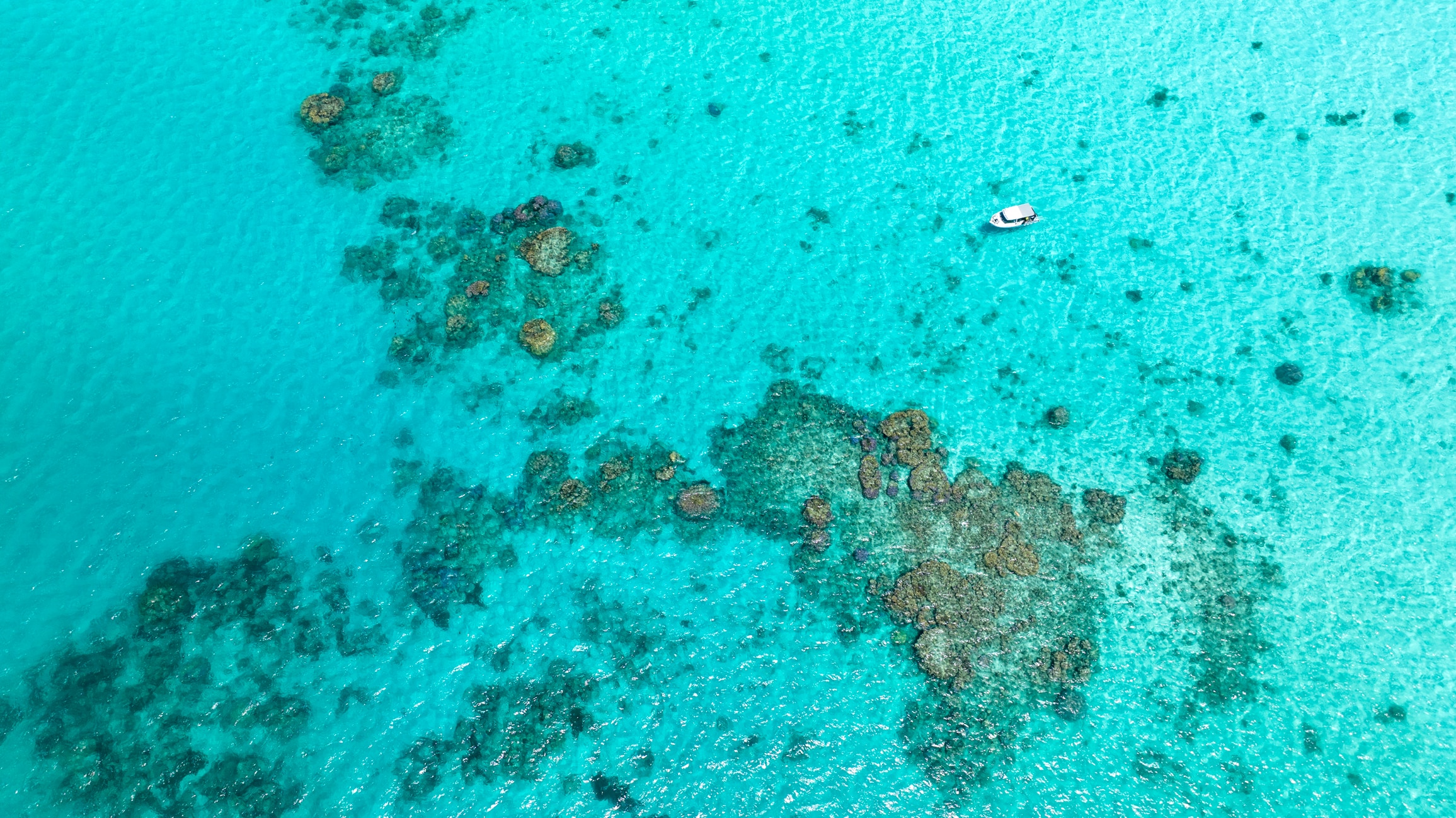 A small boat floats on crystal water above a coral reef, as seen from above.