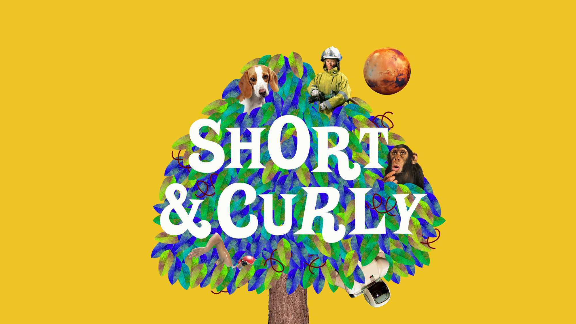 INTRODUCING — Short & Curly's big surprise!