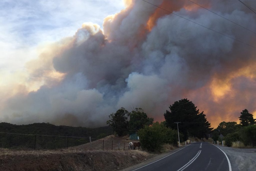 Smoke seen from bushfires at Paracombe